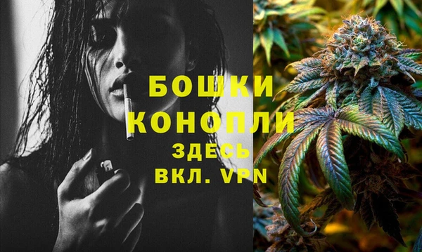 ПСИЛОЦИБИНОВЫЕ ГРИБЫ Верея