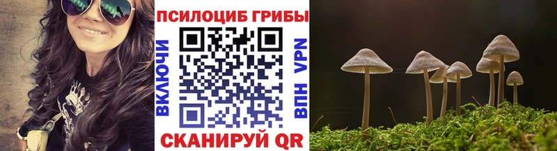 наркотики  Горбатов  площадка телеграм  Псилоцибиновые грибы Cubensis 