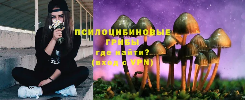 Галлюциногенные грибы Cubensis  наркошоп  Горбатов 