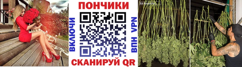 MEGA   Горбатов  МАРИХУАНА Bruce Banner 